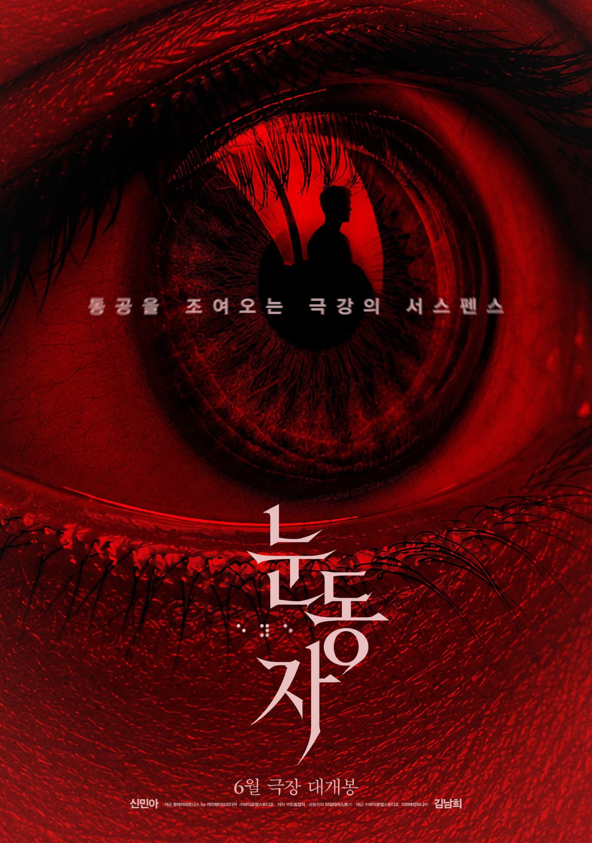 눈동자